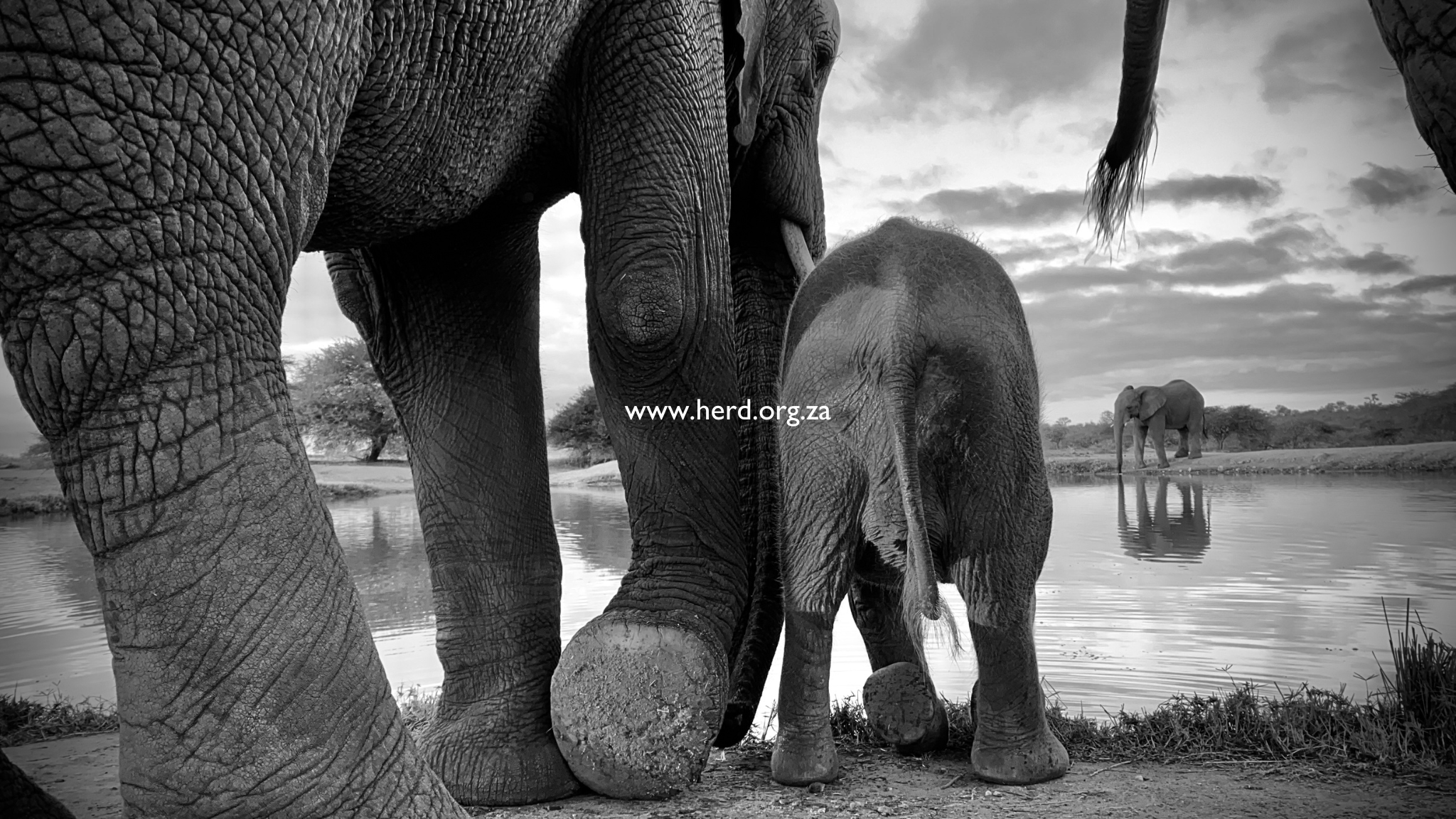 Khanyisa in Black & White