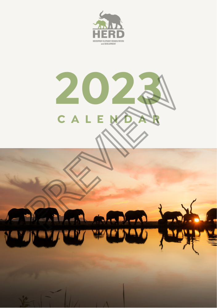 2023 Calendar
