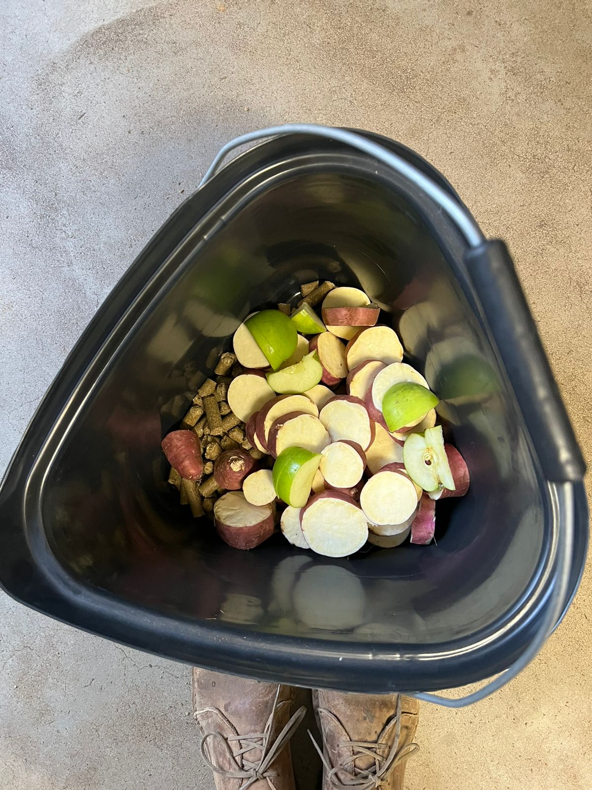 *Equipment: Buckets -To carry Food