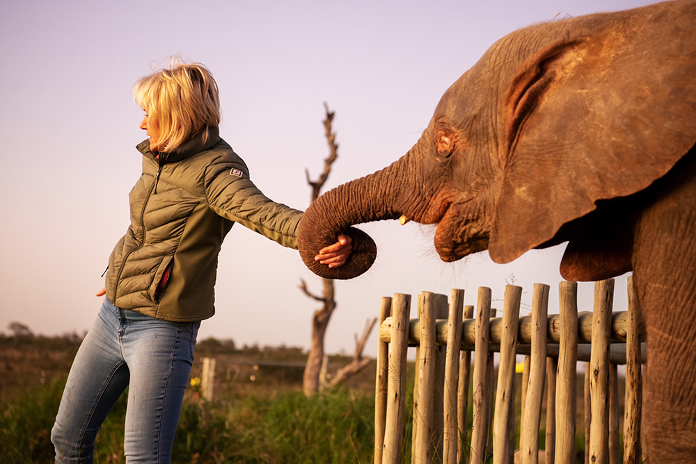 Some of Khanyisa’s Last Orphanage Moments — Before She Joins Her Elephant Herd at Night