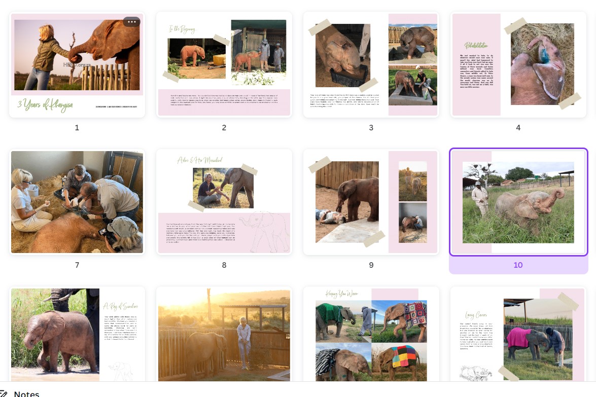 Screenshot 2022-11-15 122817