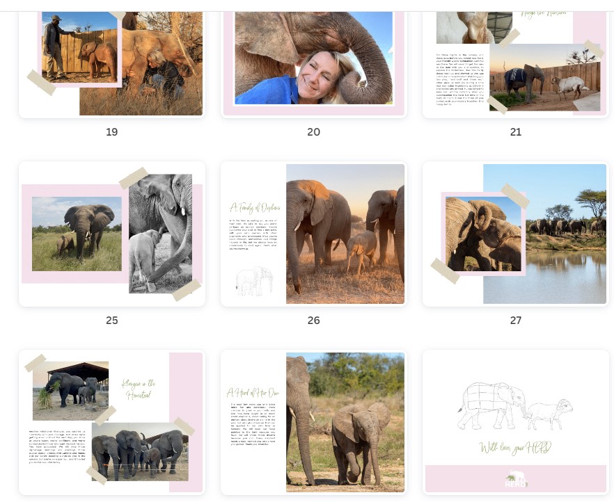 Screenshot 2022-11-15 122830