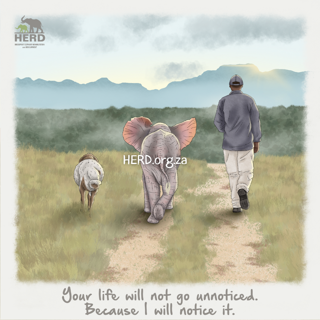 Wisdom 14 – Your life will not go unnoticed. Because I will notice it.