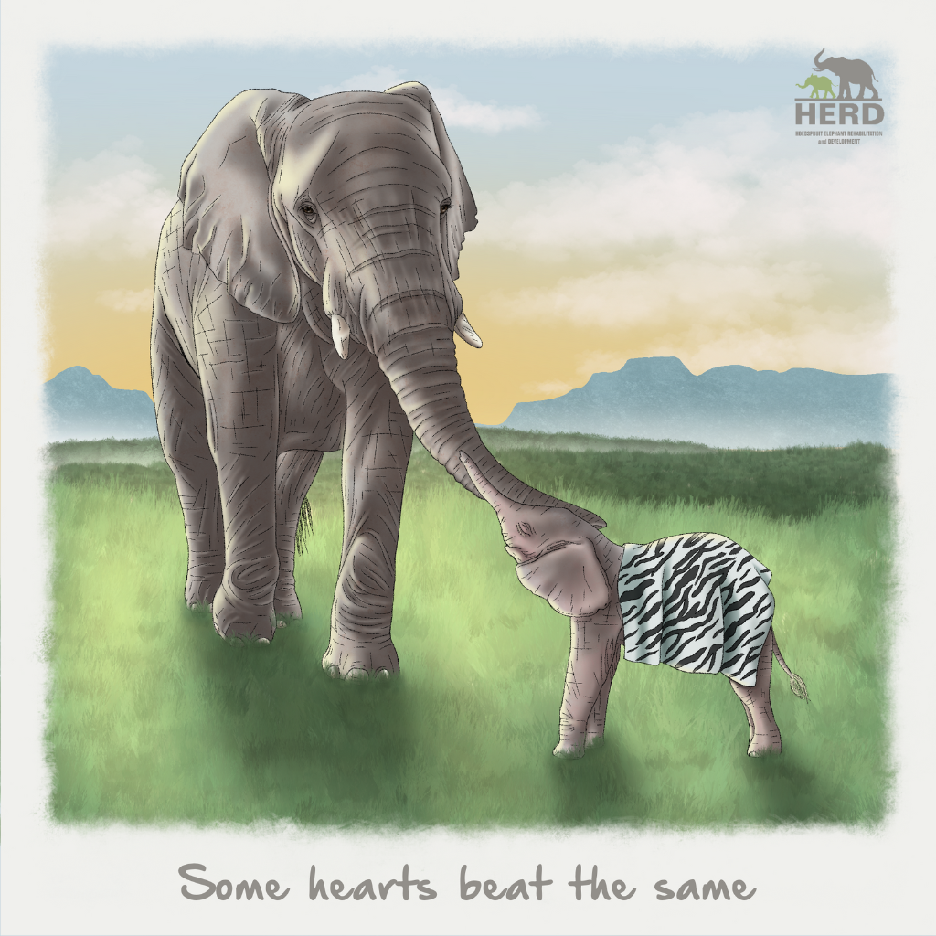 Wisdom 15 – Some hearts beat the same.