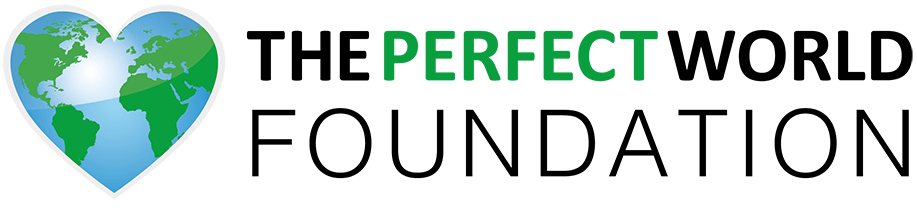 Perfect World Foundation