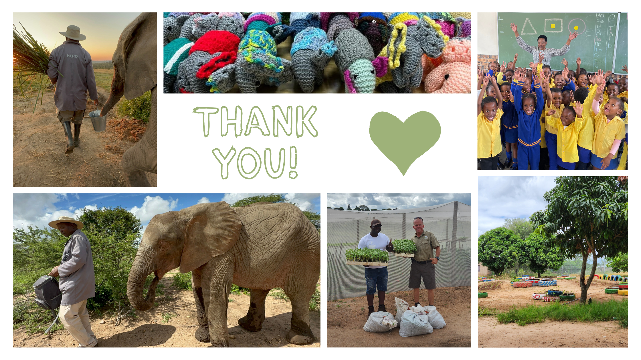 Giant Hearts, Giant Impact | HERD’s Gratitude Blog