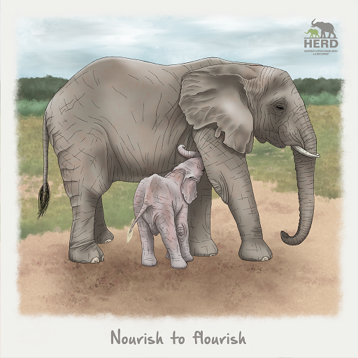 Wisdom 16 – Nourish to flourish.