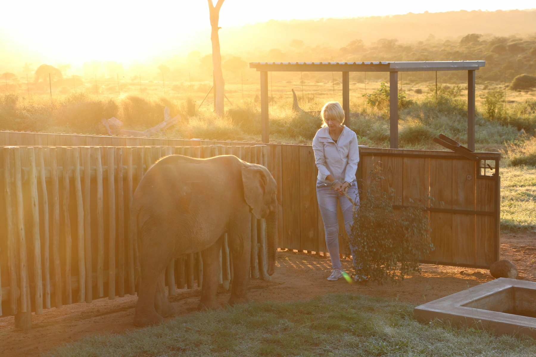 Photo-2021-03-03-06-18-22-min-scaled